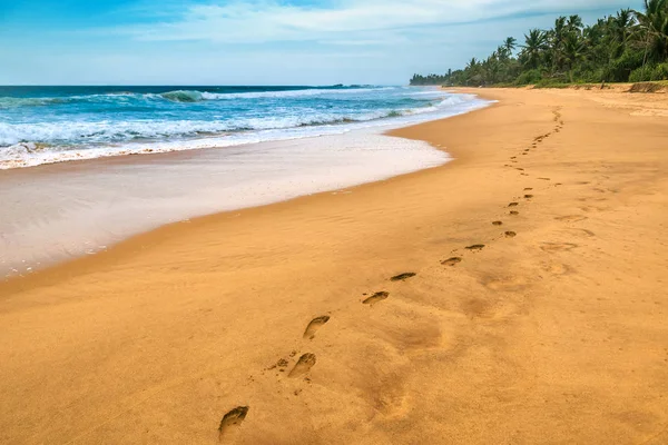 Trilhas humanas na costa do oceano — Fotografia de Stock