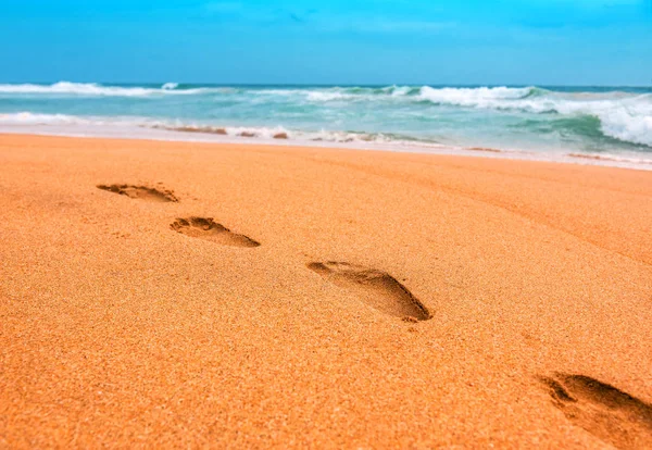 Benspår på stranden sand — Stockfoto