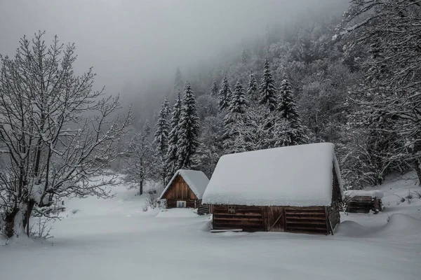 Dos cabañas cubiertas de nieve en la deriva de nieve —  Fotos de Stock