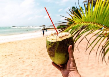 Nefis taze hindistan cevizi.