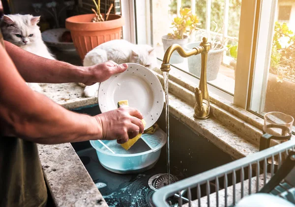 A person washes a plate — Stock Photo, Image