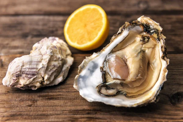 Heerlijke oester met citroen — Stockfoto