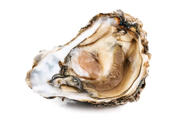 Rauwe geopende oester op wit — Stockfoto
