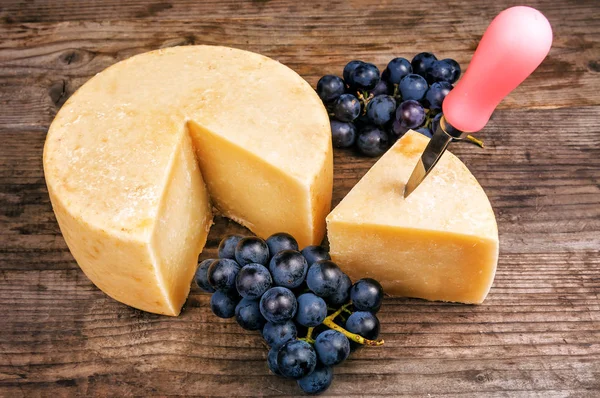 Delicious cheese and special knife — Stock Photo, Image