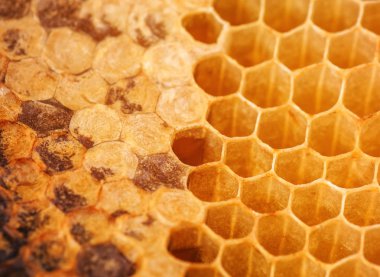 Altın bal tarağı dokusu