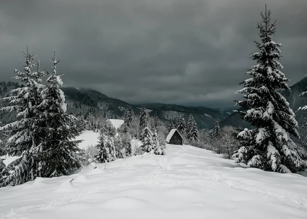 산 속의 아름답고 힘든 겨울 — 스톡 사진