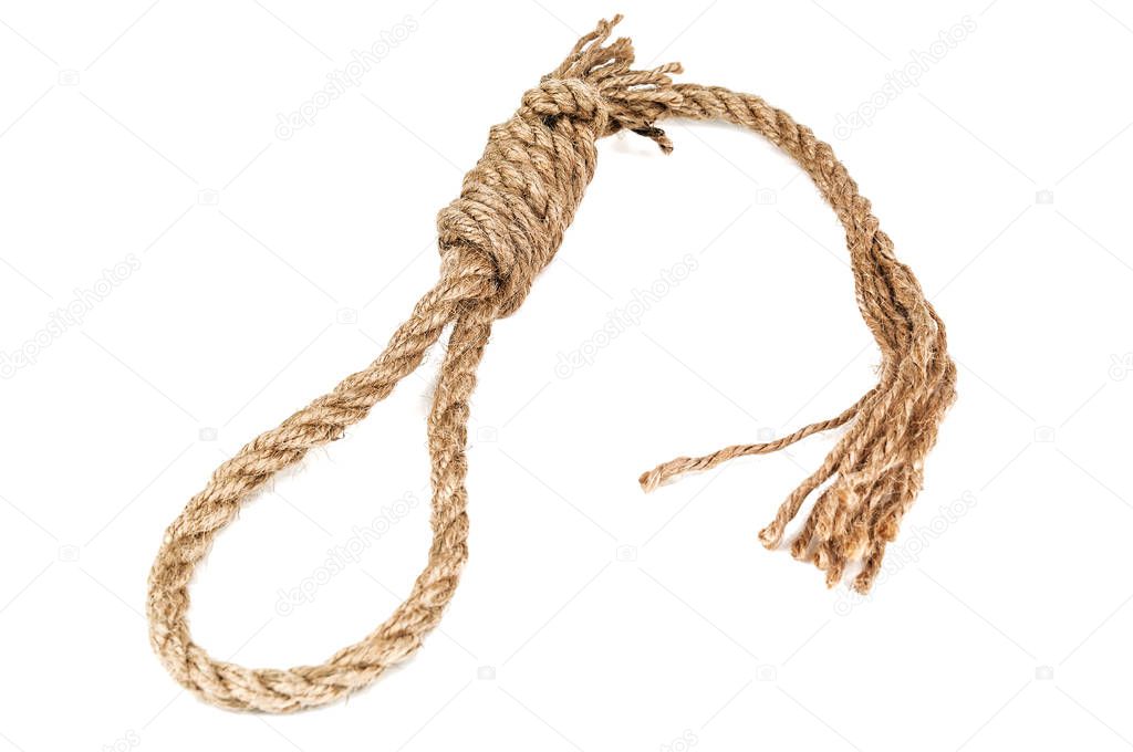 rope knotted in noose on white