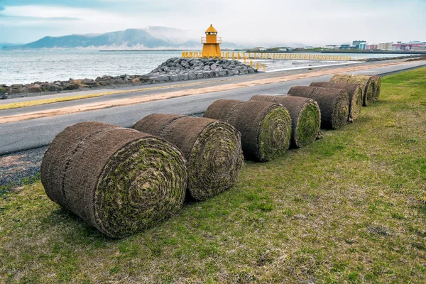 Rollos de hierba —  Fotos de Stock