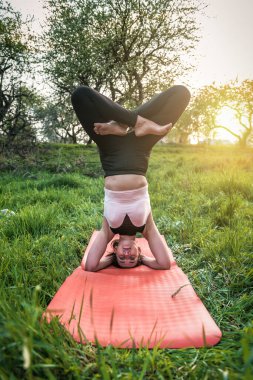 Yogi gün batımında bahçede başının üstünde duruyor.