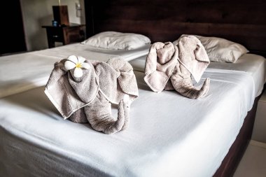 Otel odasındaki beyaz yatakta fil şeklinde havlular.