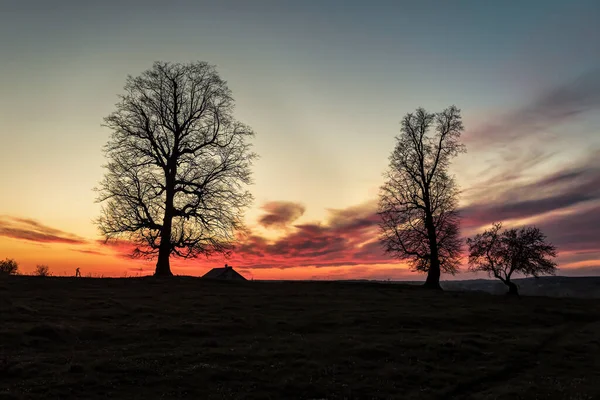 Sylwetki Gołych Drzew Pięknym Czerwonym Zachodzie Słońca — Zdjęcie stockowe