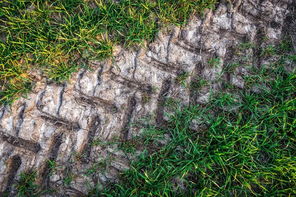 Spuren Eines Traktorrades Auf Dem Boden Auf Dem Feld Als — Stockfoto