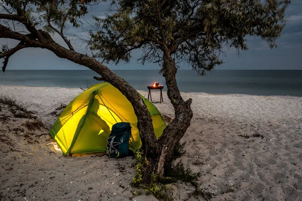 Vrouw Zitten Een Verlichte Tent Het Strand Zonsondergang Onder Olijfboom — Stockfoto