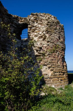 Kalıntıları kale Oreshek Gölü Ladoga, Leningrad region, Rusya Federasyonu