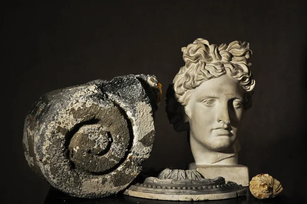 Plaster statue, sea shell and part of the bas-relief