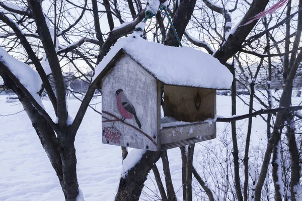 Krmítko Pro Ptáky Strom Zimě — Stock fotografie