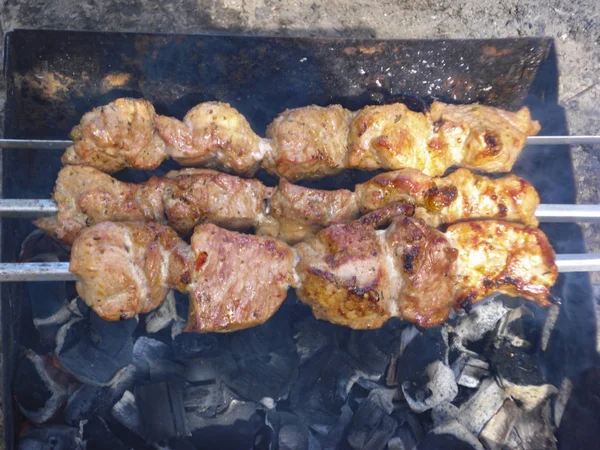 Şişler brazier üzerinde et kavurma. Piknik