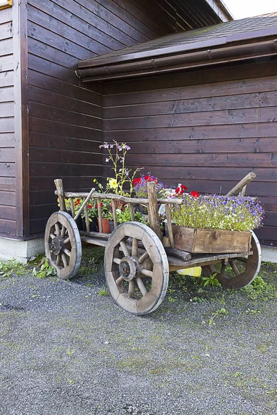 Flores brillantes multicolores crecen en el carro. Jardinería — Foto de Stock