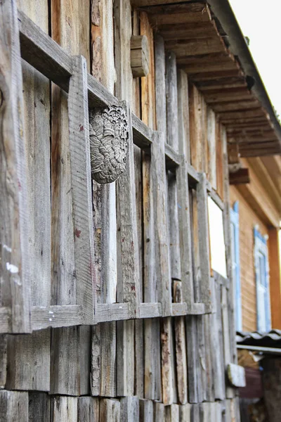 Een Wasp Hive gebouwd op een houten muur — Stockfoto