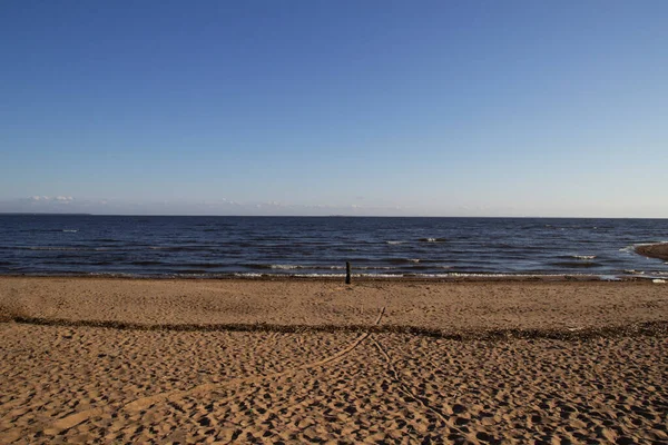 Sandy Huntsman Finského Zálivu Komarovu — Stock fotografie