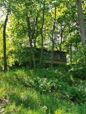Ağaçların arasında bir tepenin üzerinde birçok penceresi olan ahşap bir ev duruyor.