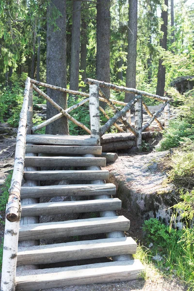 Nyírfa Rönkökből Kövekből Fenyőkből Készült Híd Mon Repos Park Vyborg — Stock Fotó