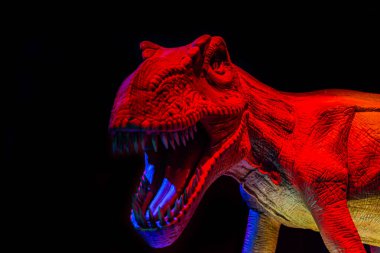 Çeşitli konumlarda gösterilecek dinozor modelleri