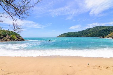 Sahilde güzel dalgalar, berrak sular, tatilde Andrea Denizi 'ndeki beyaz kumlar Phuket Tayland.