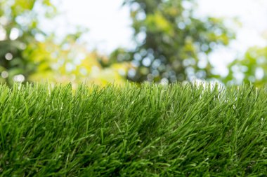 Güneş ışığı ile suni çim