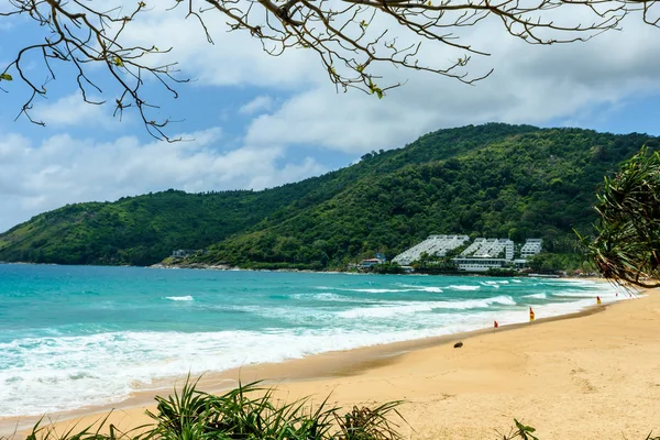 Sahilde güzel dalgalar, berrak sular, tatilde Andrea Denizi 'ndeki beyaz kumlar Phuket Tayland.
