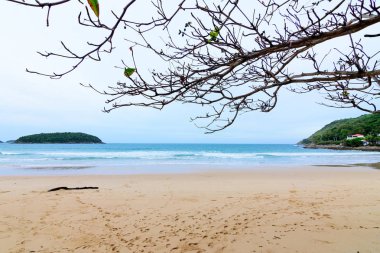 Sahilde güzel dalgalar, berrak sular, tatilde Andrea Denizi 'ndeki beyaz kumlar Phuket Tayland.