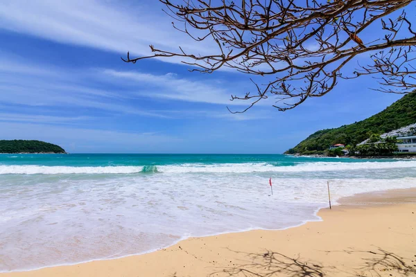 Sahilde güzel dalgalar, berrak sular, tatilde Andrea Denizi 'ndeki beyaz kumlar Phuket Tayland.