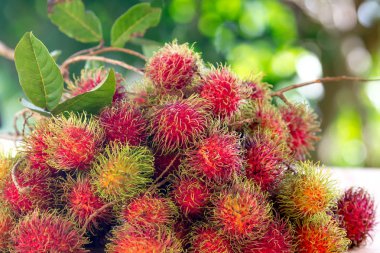 Tatlı Rambutan yaprak arka plan ile.