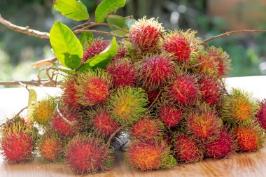 Tatlı Rambutan yaprak arka plan ile.