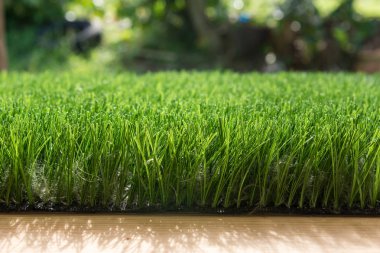 Güneş ışığı ile suni çim