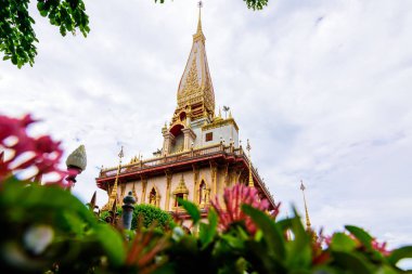 Pagoda Wat Chalong 'da ya da Chalong Tapınağı' nda çiçekli, ıssız, halka açık bir yerde.