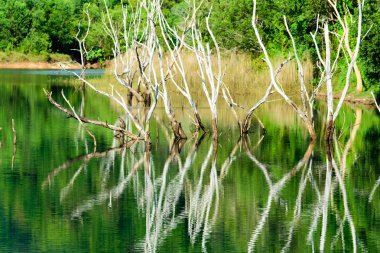 Doğal göl üzerine düşünceler