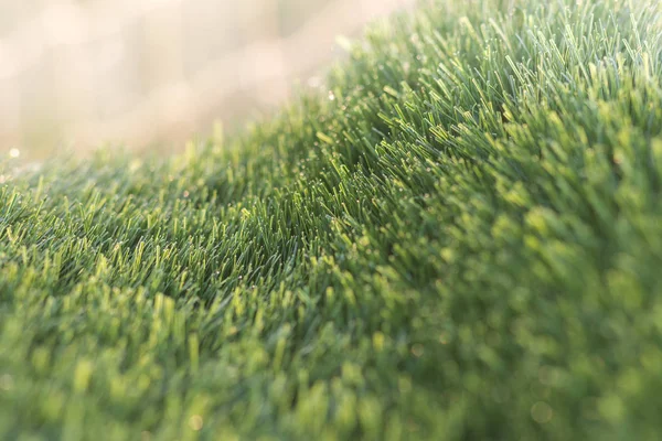 Lawn Grass Sunlight Artificial Turf Background Sunshine — Stock Photo, Image