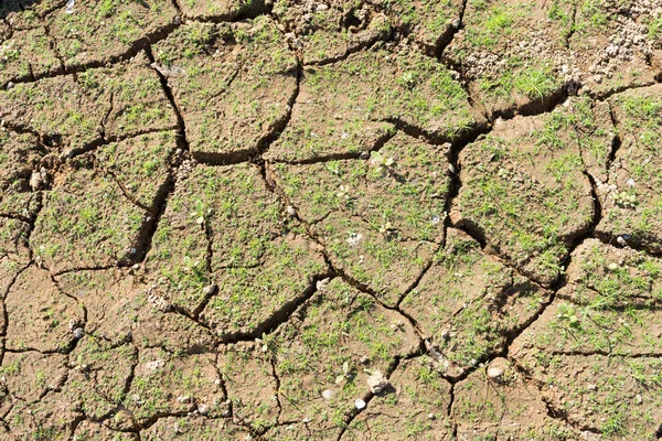 Le fond de la surface est fissuré dans le sol sec dans le summ — Photo