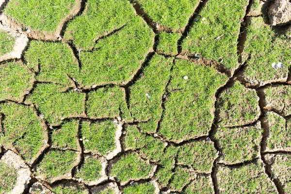 Le fond de la surface est fissuré dans le sol sec dans le summ — Photo