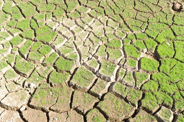 Le fond de la surface est fissuré dans le sol sec dans le summ — Photo