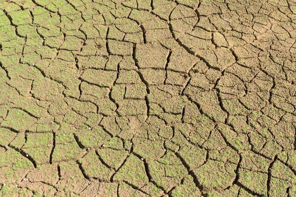 Le fond de la surface est fissuré dans le sol sec dans le summ — Photo