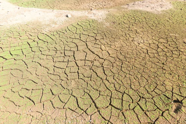 Le fond de la surface est fissuré dans le sol sec dans le summ — Photo