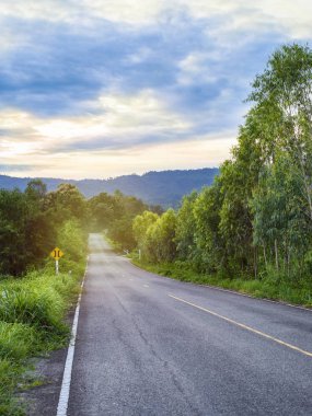 Yol boyunca doğa izleri.