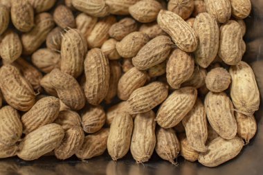 Yer fıstıkları hala çiğ..