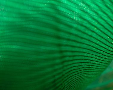 Bitkiler ve sebzeler için güneş ışığını engellemek için kreşte kullanılan yeşil kumaş..