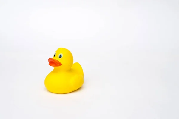 Sarı plastik ördek beyaz arkaplanda izole