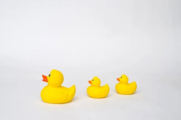 Yellow rubber duck isolated on white background