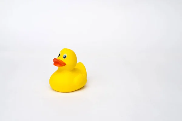 Yellow rubber duck isolated on white background