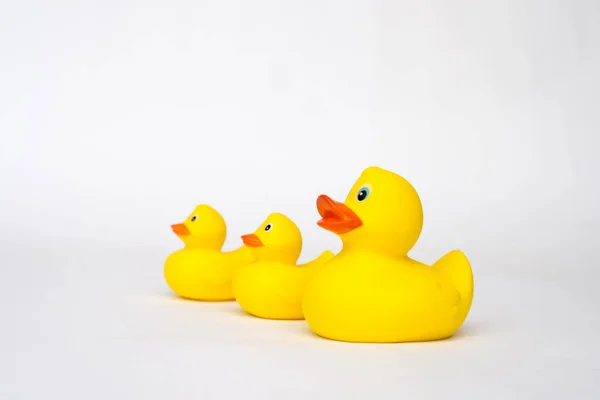 Yellow rubber duck isolated on white background